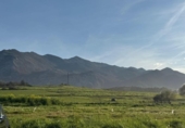 Land suitable for development for sale on España, Colunga, ref: TR403284 photo