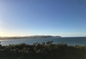 Land suitable for development for sale on España, Colunga, ref: TR403284 photo