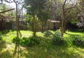 Finca rústica en venta en la España, Boqueixón, ref: TR273389 foto