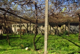 Foto 15