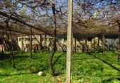 Finca rústica en venta en la España, Boqueixón, ref: TR273389 foto