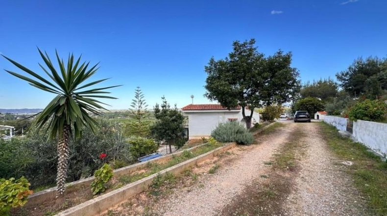 Valencia - Carlet - 2171m2