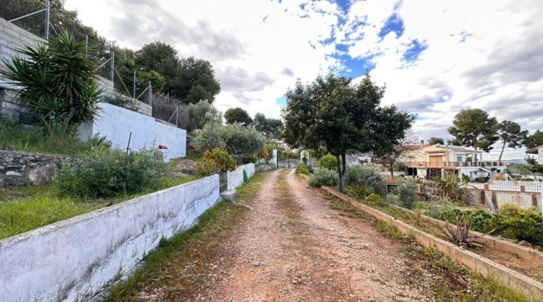 Valencia - Carlet - 2171m2