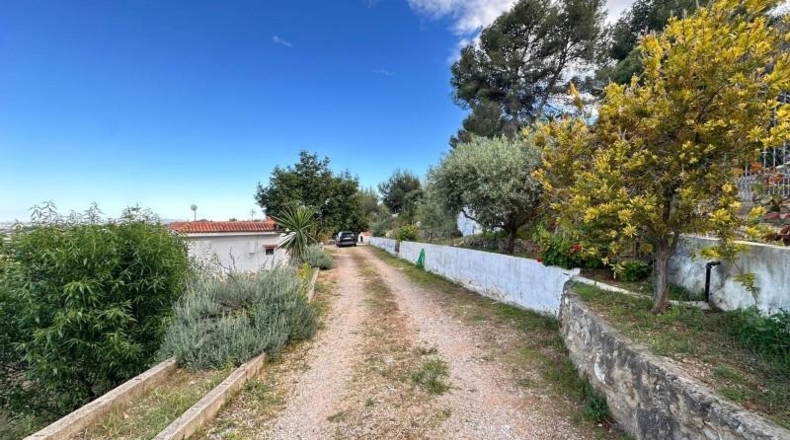 Valencia - Carlet - 2171m2