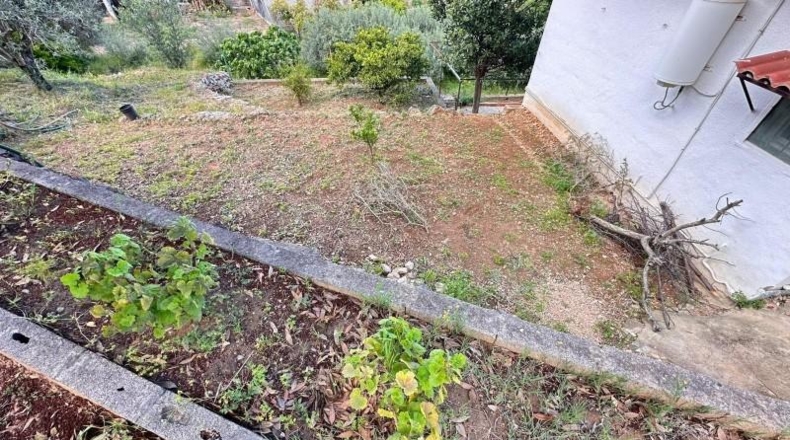 Valencia - Carlet - 2171m2