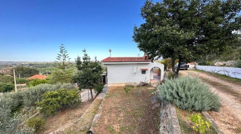 Valencia - Carlet - 2171m2
