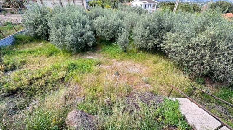 Valencia - Carlet - 2171m2