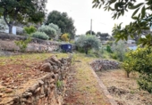 Casa de camp amb terreny en venda a la España, Carlet, ref.: TR403973 foto