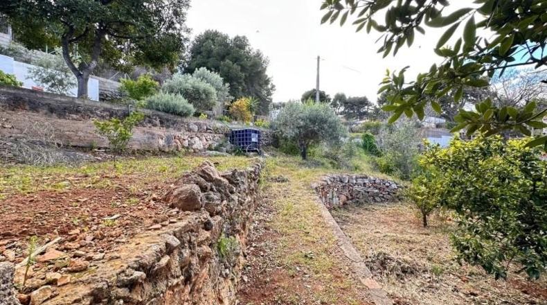 Valencia - Carlet - 2171m2