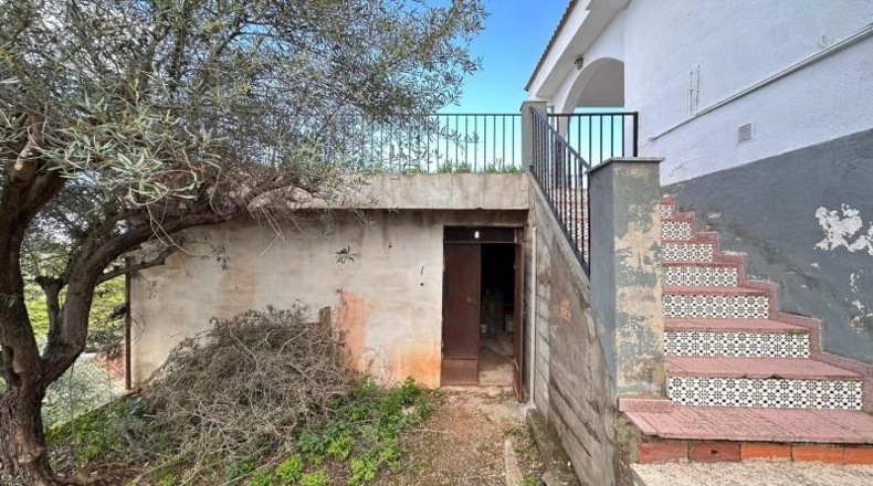 Valencia - Carlet - 2171m2