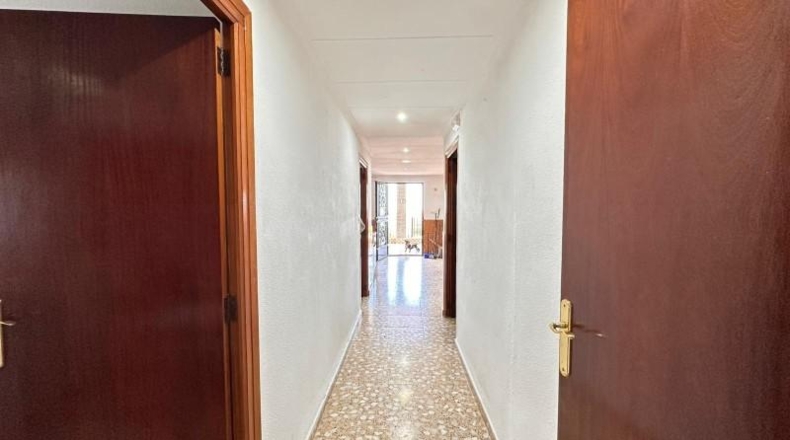 Valencia - Carlet - 2171m2