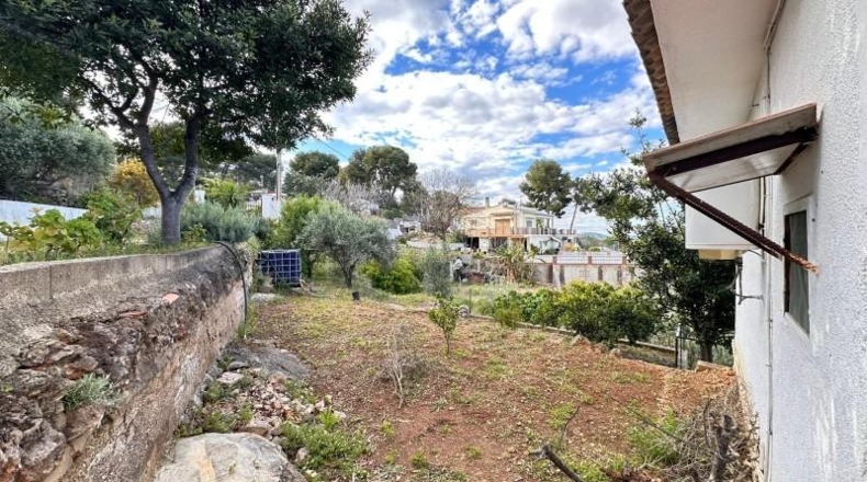 Valencia - Carlet - 2171m2