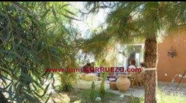 Murcia - Cartagena - 2300m2