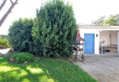Xalet independent amb terreny en venda a la España, Alcolea, ref.: TR346453 foto