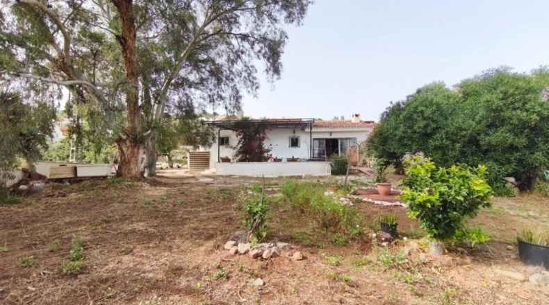 Málaga - Almogía - 4000m2