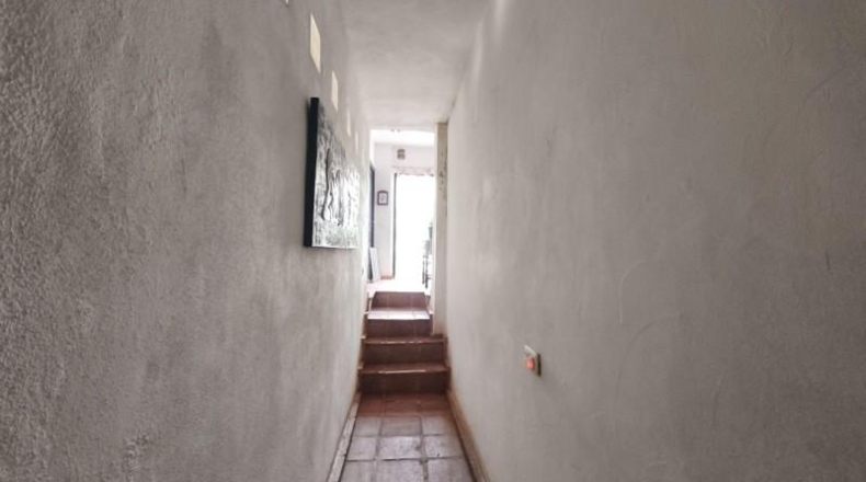 Málaga - Almogía - 4000m2