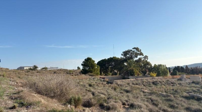 Alicante - Alicante - 30560m2