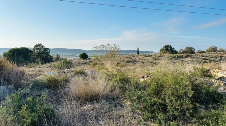 Alicante - Alicante - 30560m2