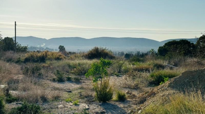 Alicante - Alicante - 30560m2