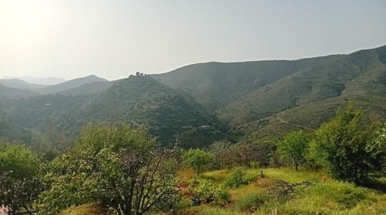 Málaga - Ojén - 2600m2