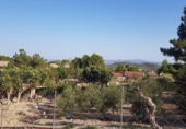 Chalet independiente con terreno en venta en la España, Murcia, ref: TR398109 foto