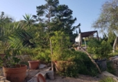 Chalet independiente con terreno en venta en la España, Murcia, ref: TR398109 foto