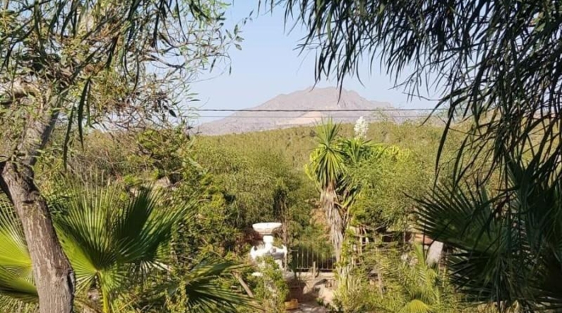 Murcia - Puerto Lumbreras - 2065m2