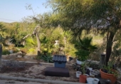 Chalet independiente con terreno en venta en la España, Murcia, ref: TR398109 foto