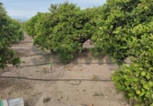 Country house with land for sale on España, Sueca, ref: TR152088 photo