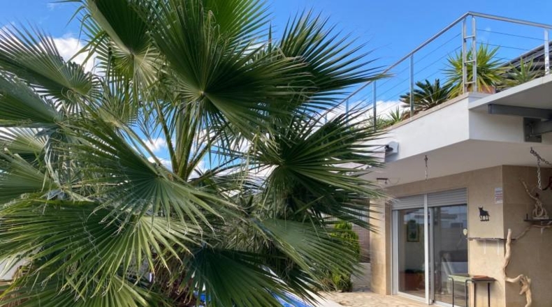 Castellon - Peñíscola - 81m2