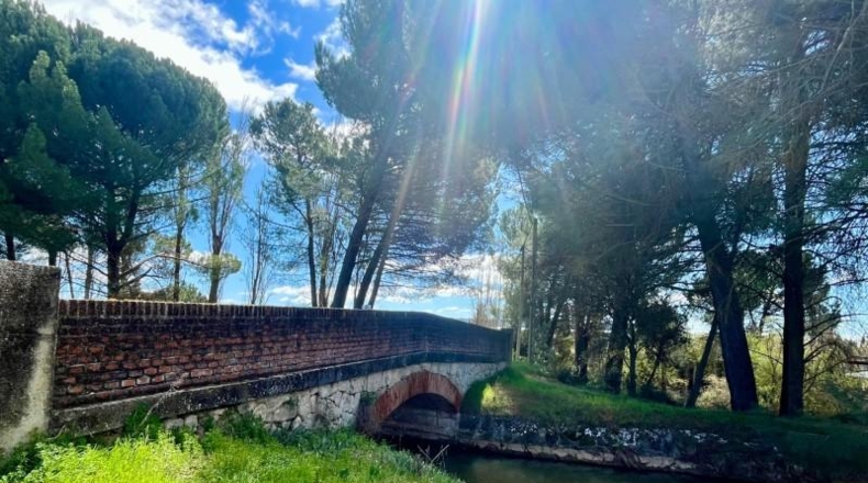 Valladolid - Tudela de Duero - 701m2