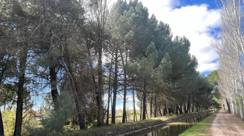Valladolid - Tudela de Duero - 701m2
