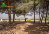 Xalet independent amb terreny en venda a la España, La Zubia, ref.: TR248717 foto