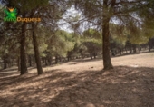 Xalet independent amb terreny en venda a la España, La Zubia, ref.: TR248717 foto