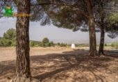 Xalet independent amb terreny en venda a la España, La Zubia, ref.: TR248717 foto
