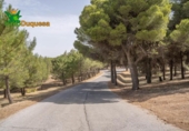 Xalet independent amb terreny en venda a la España, La Zubia, ref.: TR248717 foto