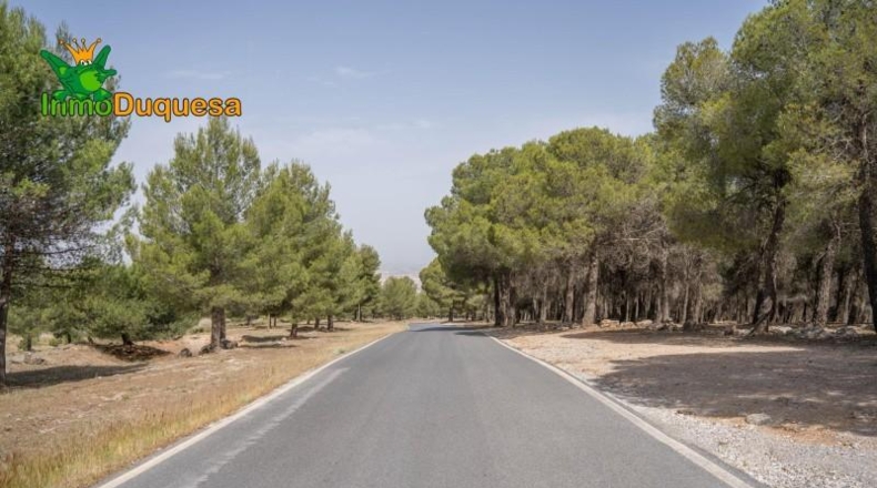 Granada - Ogíjares - 450m2