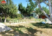 Chalet independiente con terreno en venta en la España, Ávila, ref: TR135223 foto