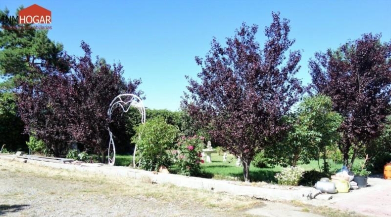 Ávila - Ávila - 3000m2