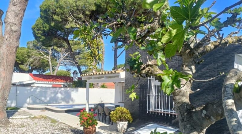 Cádiz - Chiclana de la Frontera - 439m2