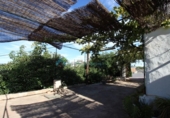 Casa de camp amb terreny en venda a la España, Coín, ref.: TR193857 foto
