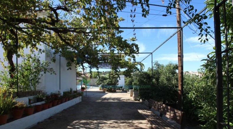 Málaga - Coín - 2521m2