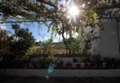 Casa de camp amb terreny en venda a la España, Coín, ref.: TR193857 foto