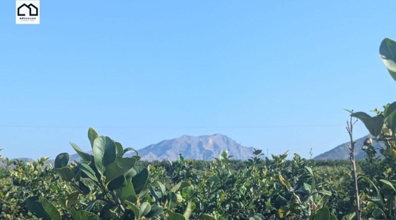 Alicante - Орихела - 13416m2