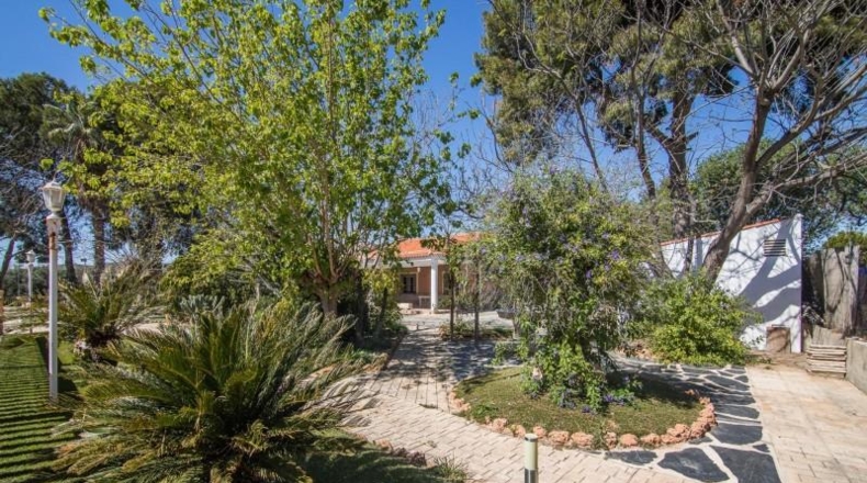 Alicante - Redován - 495m2