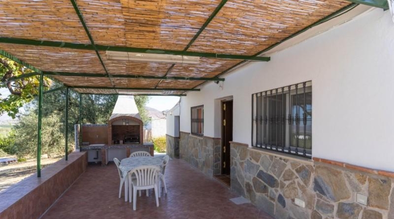 Málaga - Alhaurín el Grande - 10000m2
