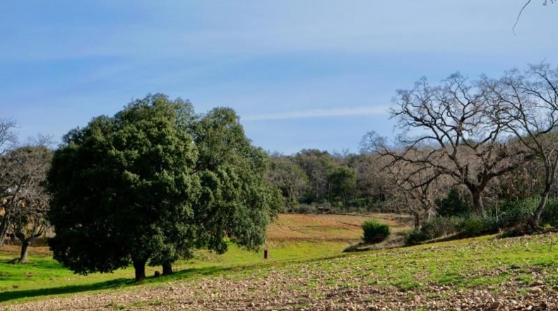 Guadalajara - Arbancón - 370000m2