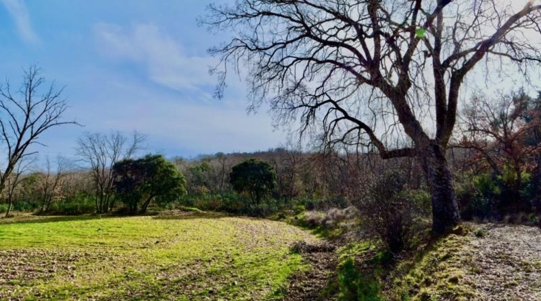Guadalajara - Arbancón - 370000m2