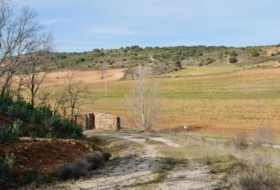 Foto 15