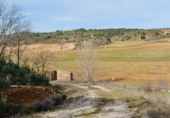 Non-developable land for sale on España, Arbancón, ref: TR128500 photo